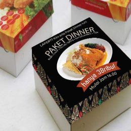 kotak-catering-nasi-box